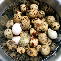 The Trick to Easy-Peel Quail Eggs